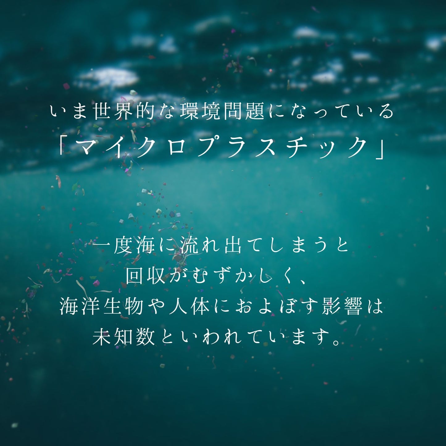 海を守る洗濯ネット