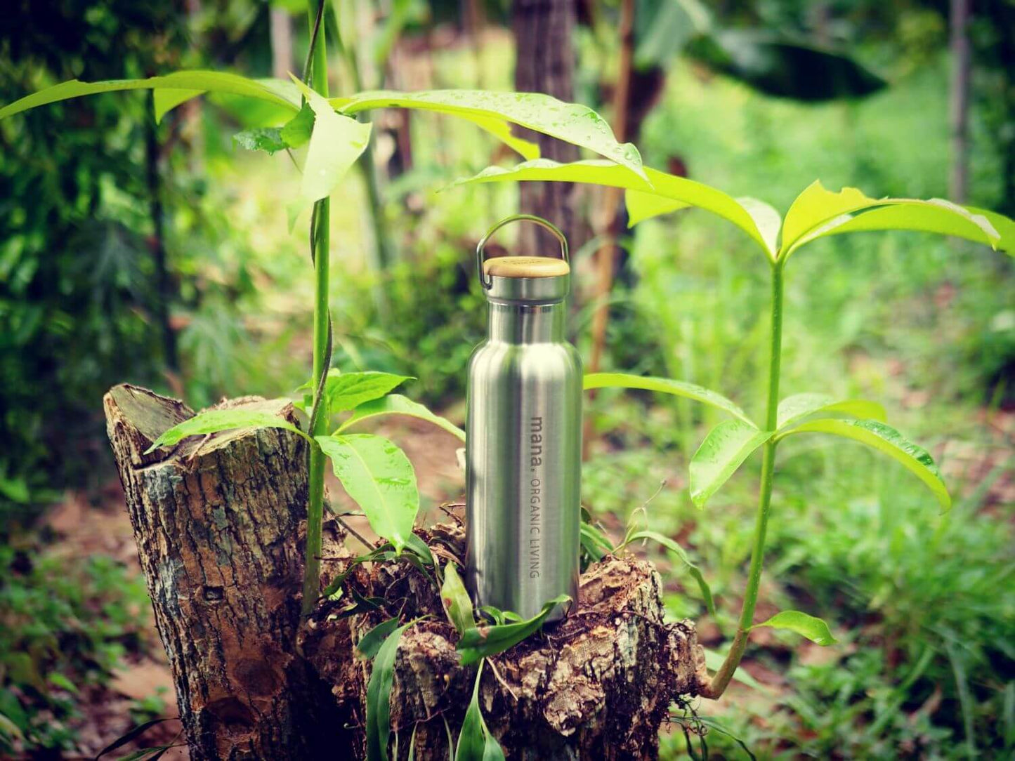 ステンレスボトル500ml